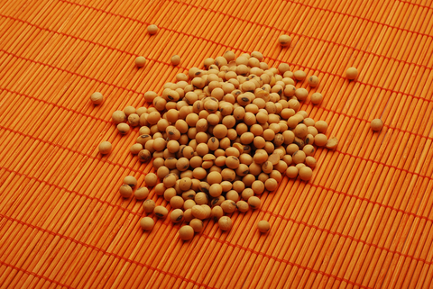 medifast-soybean-based-meal-replacement
